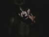 oxxmilks Altpins Profile Picture