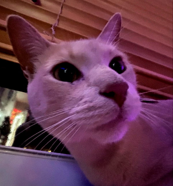 oxxmilks instagram image archive image