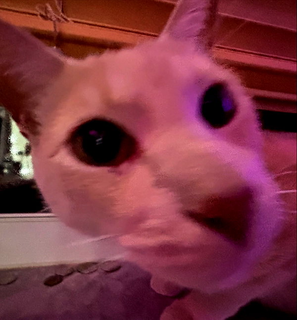 oxxmilks instagram image archive image