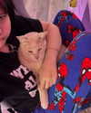 oxxmilks Altpins Profile Picture