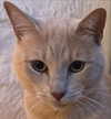 oxxmilks Altpins Profile Picture