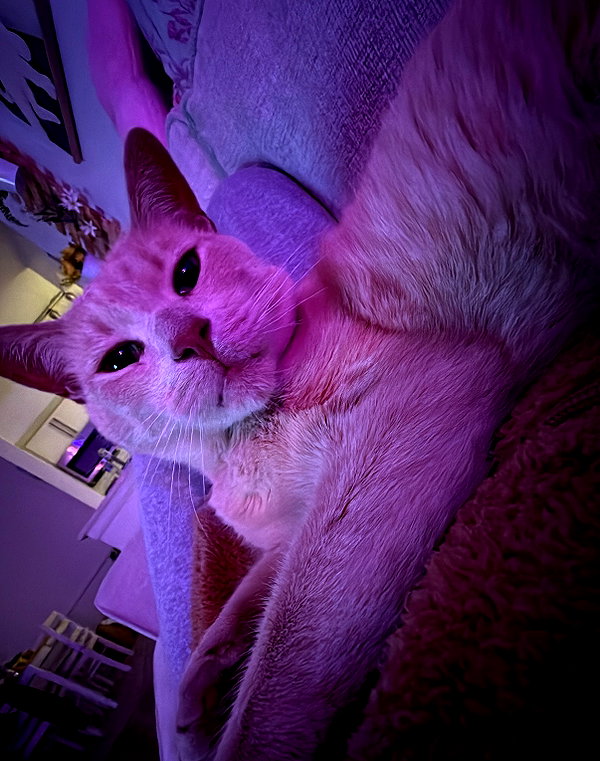 oxxmilks instagram image archive image