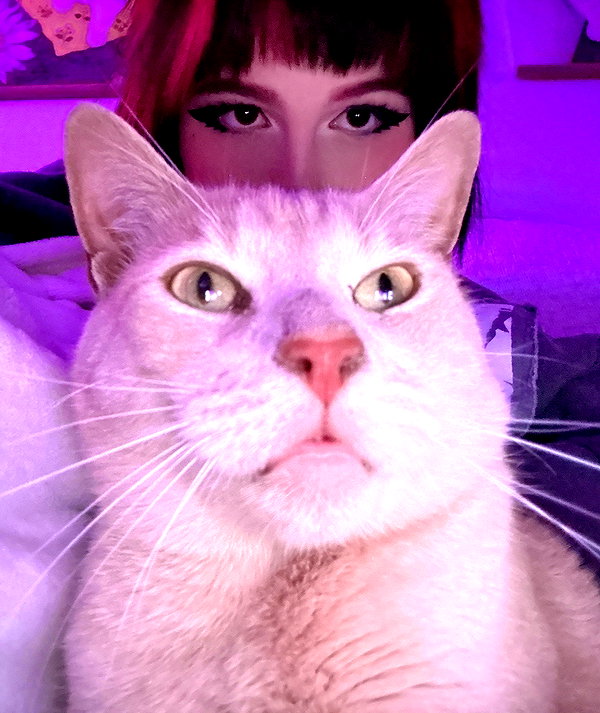 oxxmilks oxxmilks archive image