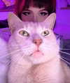 oxxmilks Altpins Profile Picture