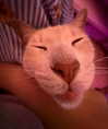 oxxmilks Altpins Profile Picture
