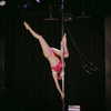 paigee.preston Altpins Profile Picture