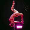 paigee.preston Altpins Profile Picture
