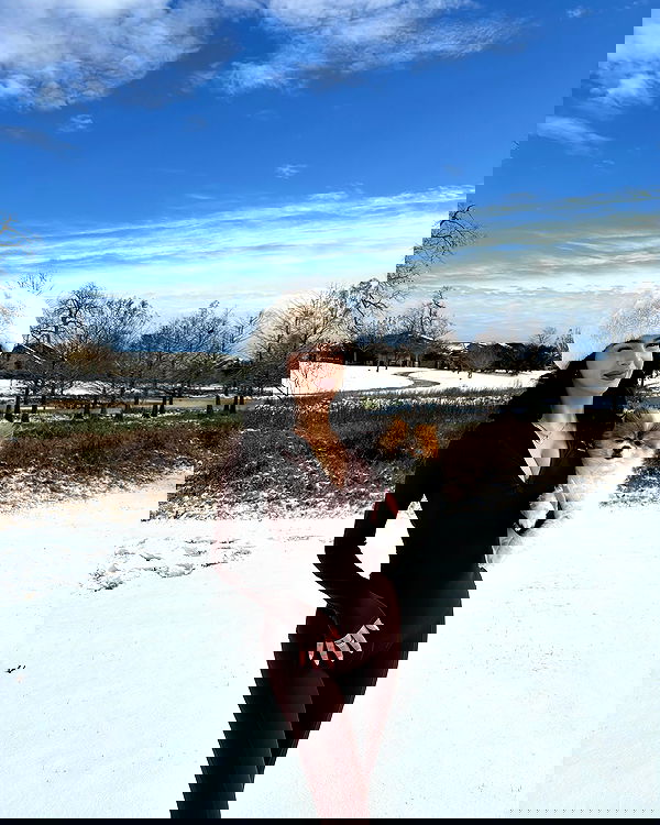 pamibaby pamibaby archive image