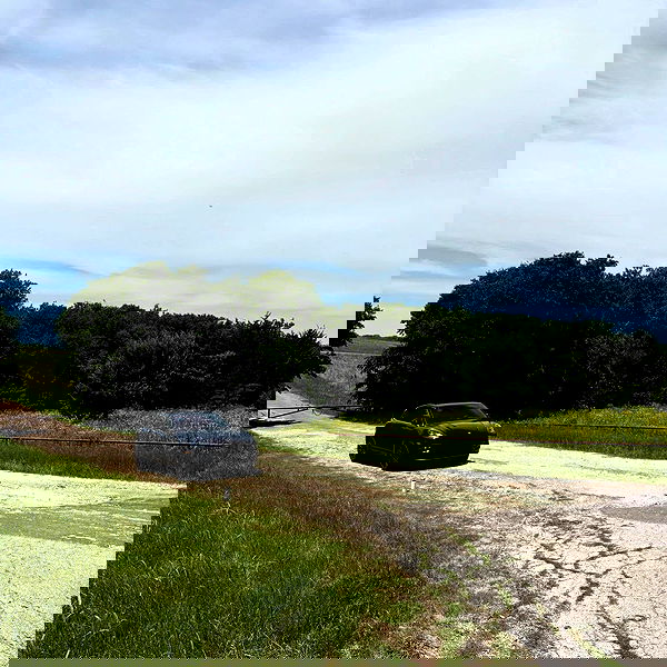 pamibaby pamibaby archive image