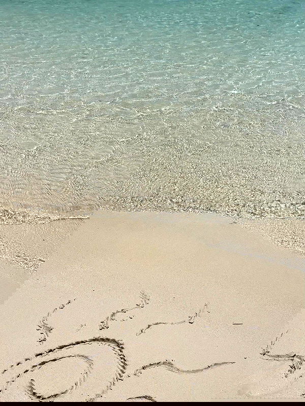 pamibaby pamibaby archive image