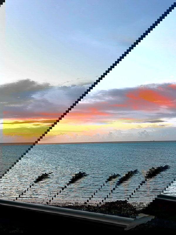 pamibaby pamibaby archive image