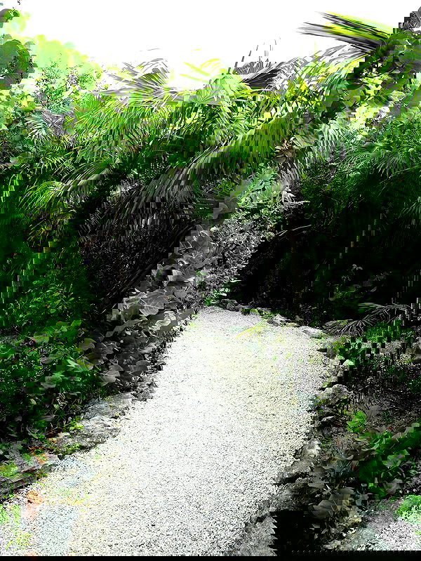 pamibaby pamibaby archive image