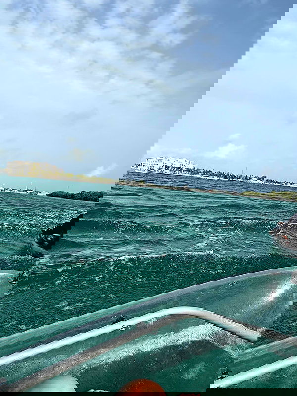 pamibaby pamibaby archive image