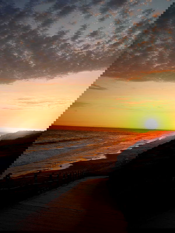 pamibaby pamibaby archive image