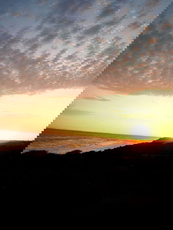 pamibaby pamibaby archive image