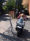 pascha.ds Altpins Profile Picture