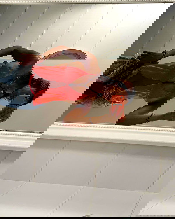 paula_valentina_gomez image ~ Altpins