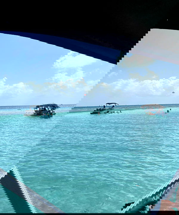 paula_valentina_gomez image ~ Altpins