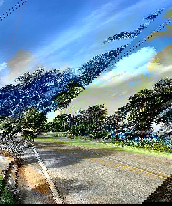 paula_valentina_gomez image ~ Altpins