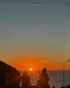 pauuuferreira_ Altpins Profile Picture