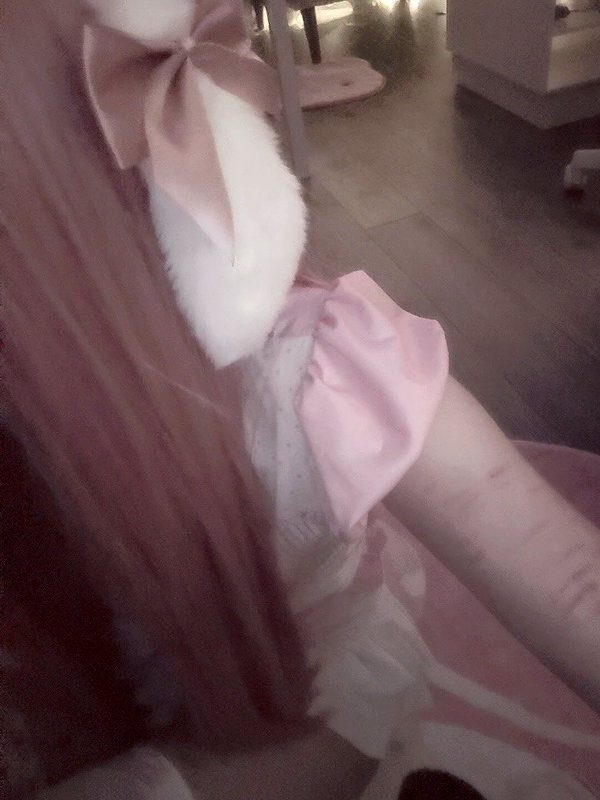 pawcalii instagram image archive image