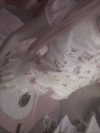 pawcalii Altpins Profile Picture