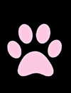 pawcalii Altpins Profile Picture