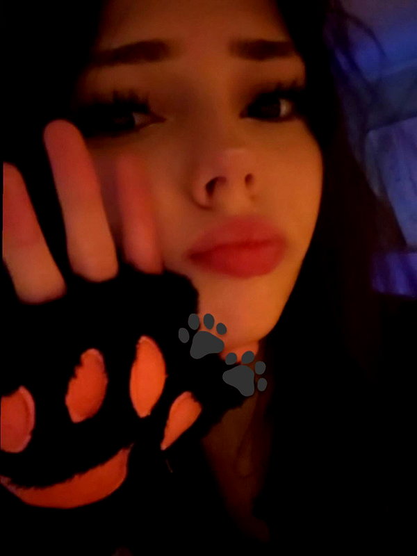 pawcalii instagram image archive image