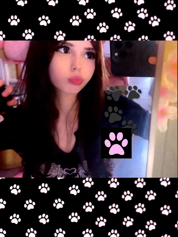 pawcalii instagram image archive image