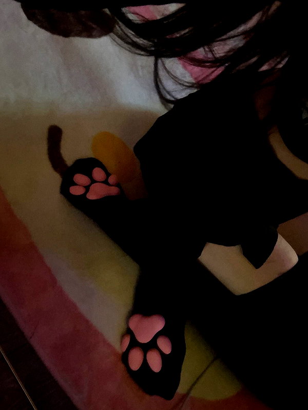 pawcalii instagram image archive image