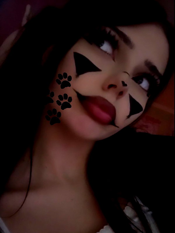 pawcalii instagram image archive image