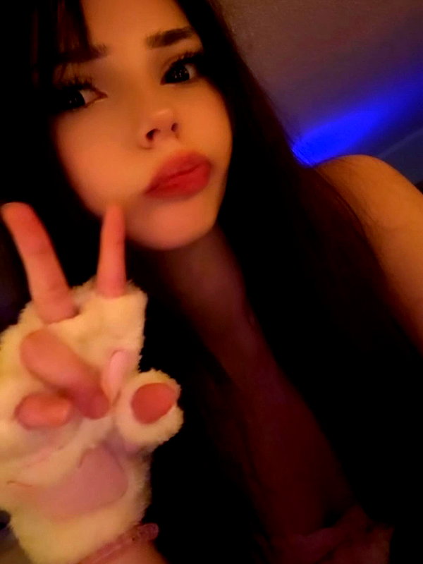 pawcalii instagram image archive image