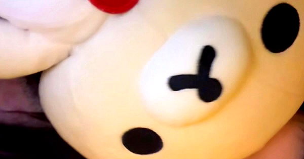 pawcalii instagram image archive image