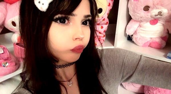 pawcalii instagram image archive image