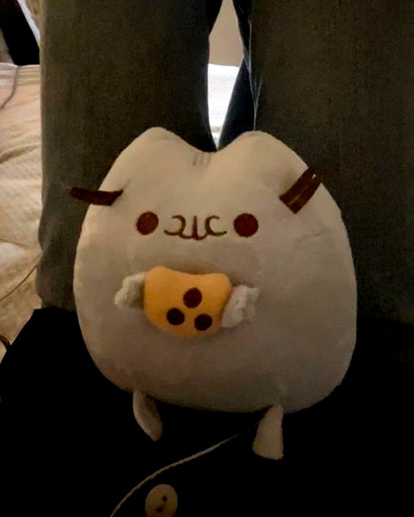 pawcalii instagram image archive image