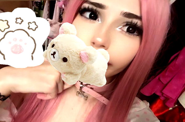 pawcalii instagram image archive image