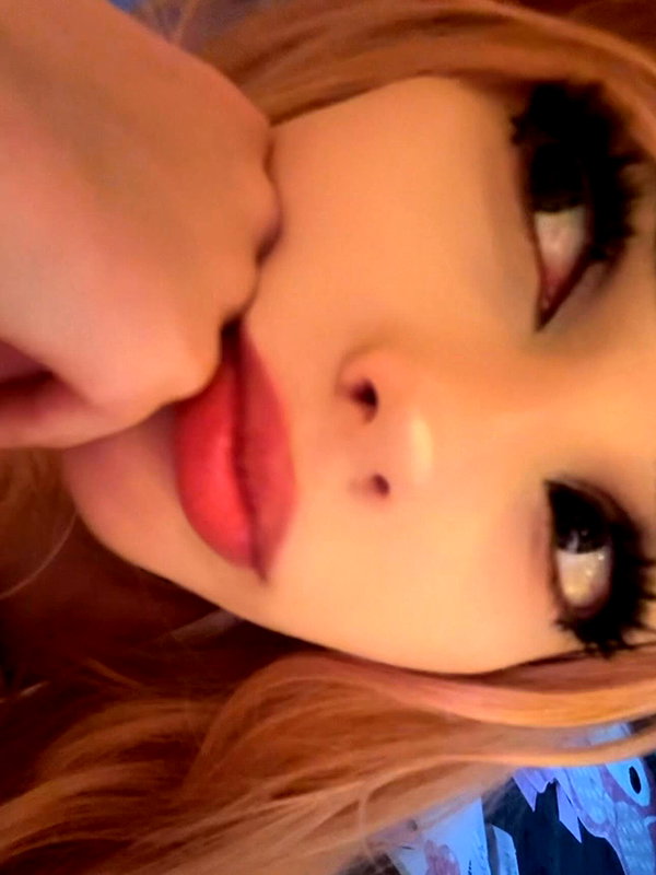 pawcalii instagram image archive image