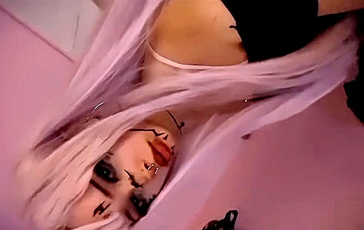 pawxai instagram image archive image