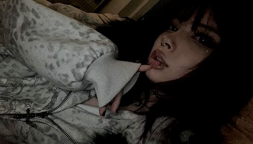 pawxai instagram image archive image