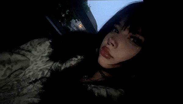 pawxai instagram image archive image