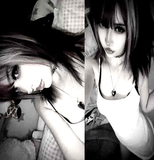 pawxai instagram image archive image