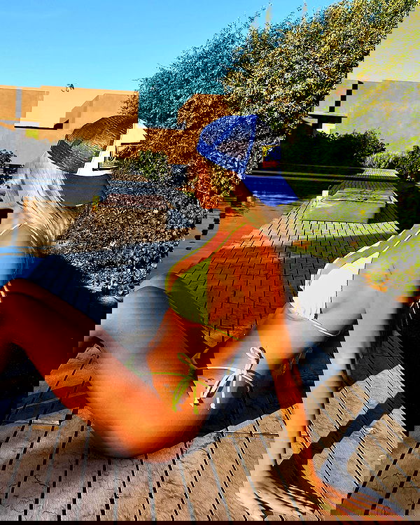 payton.r payton.r archive image