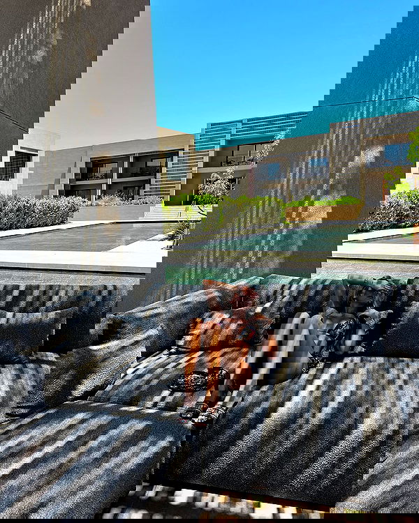 payton.r payton.r archive image