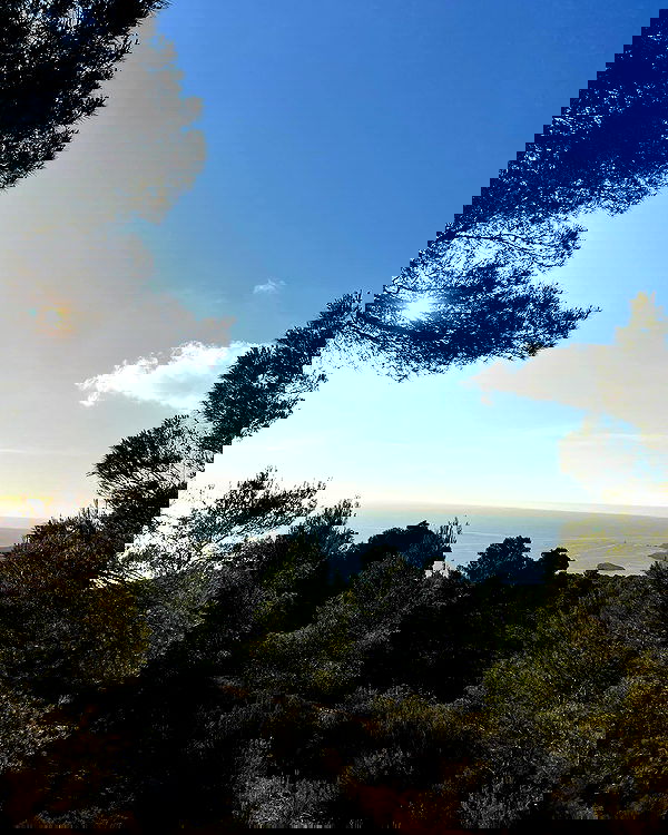 payton.r payton.r archive image