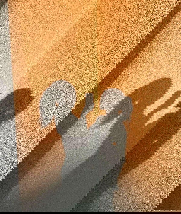 payton.r payton.r archive image