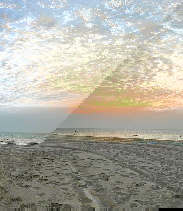 payton.r payton.r archive image