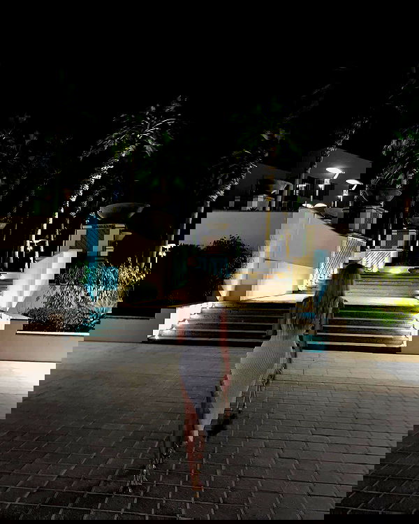 payton.r payton.r archive image