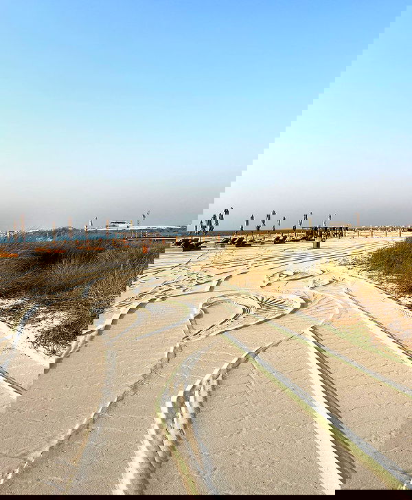 payton.r payton.r archive image