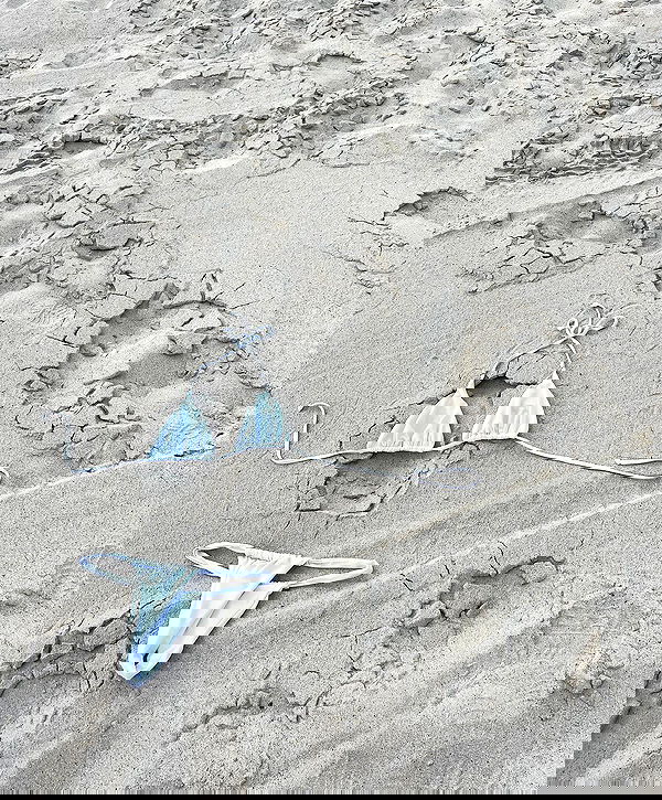 payton.r payton.r archive image