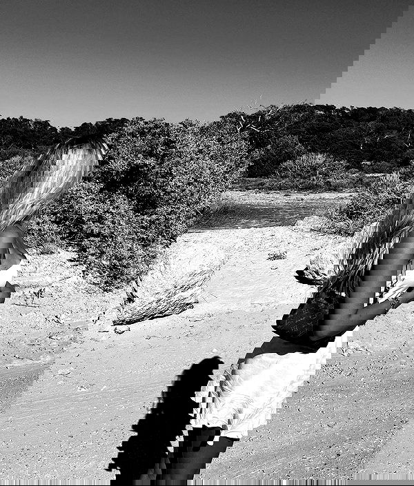 payton.r payton.r archive image